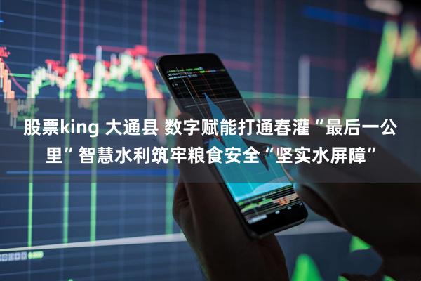 股票king 大通县 数字赋能打通春灌“最后一公里”智慧水利筑牢粮食安全“坚实水屏障”